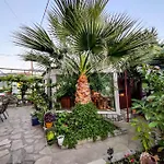 Patra Skala Prinou *