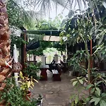 Patra Skala Prinou * Prínos