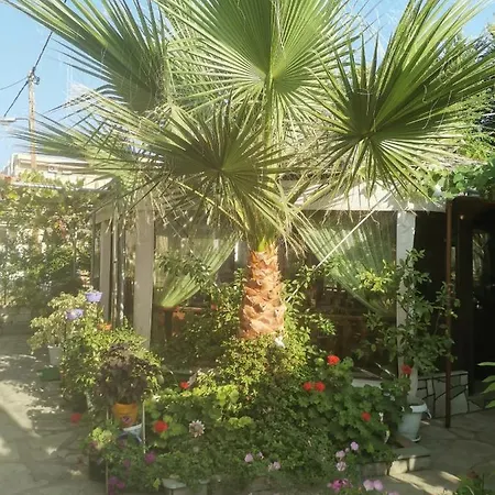 Patra Skala Prinou 아파트 *