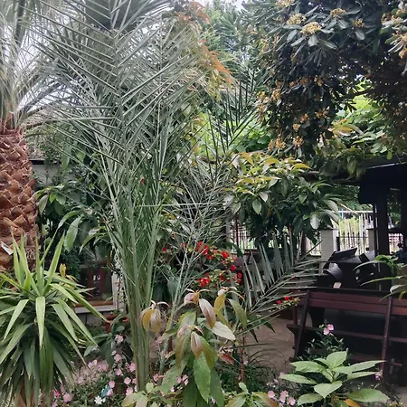 斯卡拉皮瑞诺帕特雷公寓 *