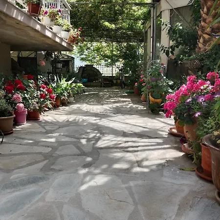 公寓 斯卡拉皮瑞诺帕特雷公寓