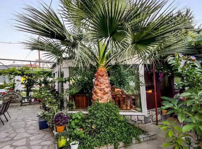 斯卡拉皮瑞诺帕特雷公寓 *