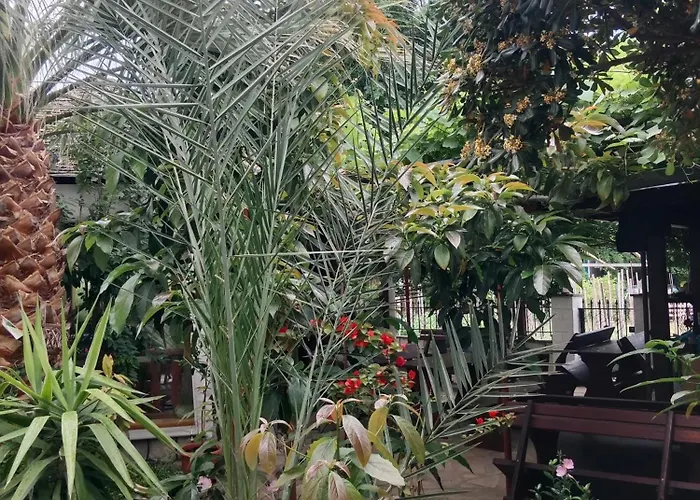 Patra Skala Prinou *